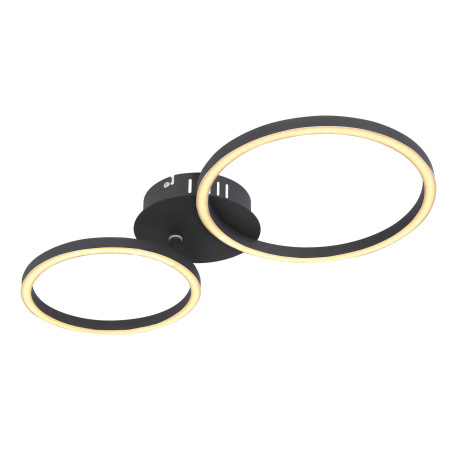 Stropné svietidlo, kov čierny matný, plast opál, priemer kruhu: 25cm a 20,5 cm, DxŠxV:490x245x70, vr