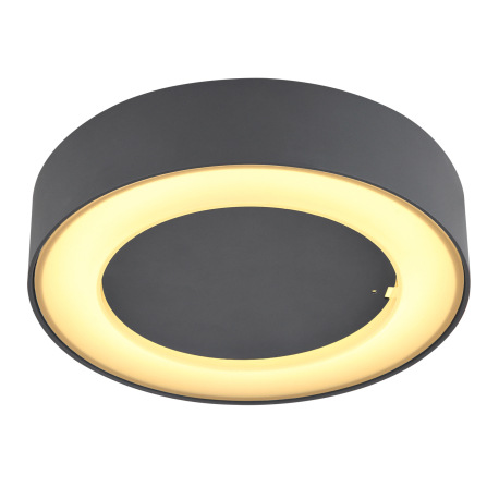 Vonkajšie svietidlo, hliník antracit, plast opál, IP54, Ø200, V:45, vrátane 1xLED 12W 230V, zdroj 84