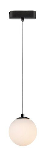 LiTrack Pend.03V