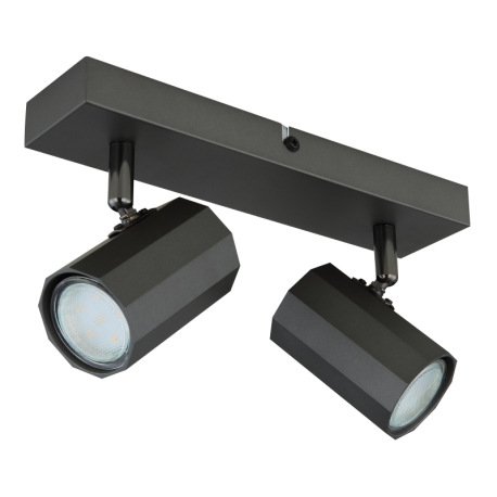 Nástenné svietidlo, kov sivý matný, hliník sivý matný, DxŠxV: 260x60x145mm, bez žiaroviek 2x GU10, m 2