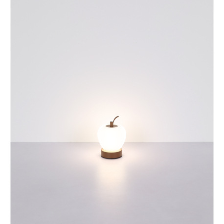 Nabíjateľná stolová lampa, hnedý matný kov, plast biely, čierny PVC kábel, dotykové zapnutie/vypnuti 18