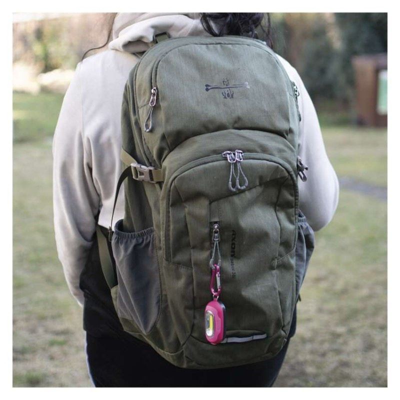 COB LED ručné svietidlo P3887, 30 lm, 2× AAA, 12 ks, display box 5