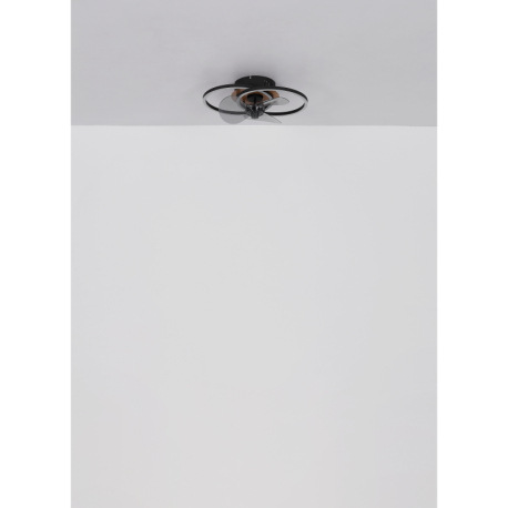 Stropný ventilátor, kov čierny/imitácia dreva,plast biely/dymový, stmievateľný, niekoľko úrovní pomo 10