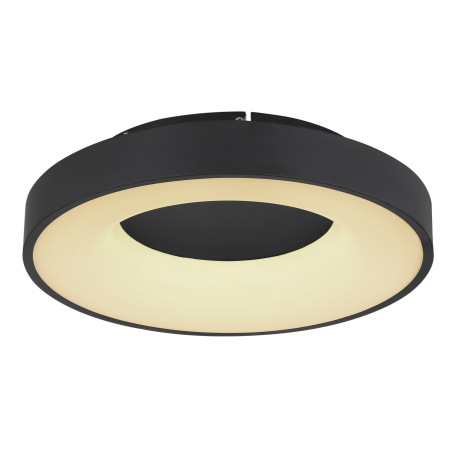 Stropné svietidlo, kov čierny, plast opál, pamäťová funkcia, nočné svetlo, stmievateľné, diaľkové ov