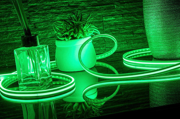 LED PAS 079021 21W RGB 20