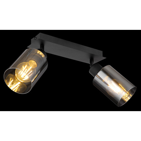 Nástenné svietidlo, kov čierny, dymové sklo, DxŠxV: 280x90x215mm, bez žiaroviek 2x E27, max. 15W 230 14