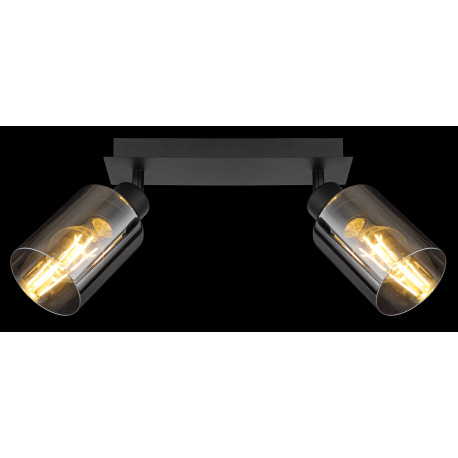 Nástenné svietidlo, kov čierny, dymové sklo, DxŠxV: 280x90x215mm, bez žiaroviek 2x E27, max. 15W 230 17