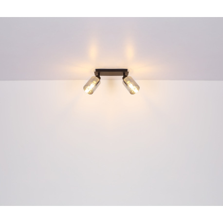 Nástenné svietidlo, kov čierny, dymové sklo, DxŠxV: 280x90x215mm, bez žiaroviek 2x E27, max. 15W 230 9