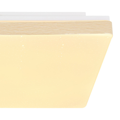 Stropné svietidlo, kov biely, plast imitácia dreva, plast opál, trblietavý efekt, DxŠxV:330x330x60, 9