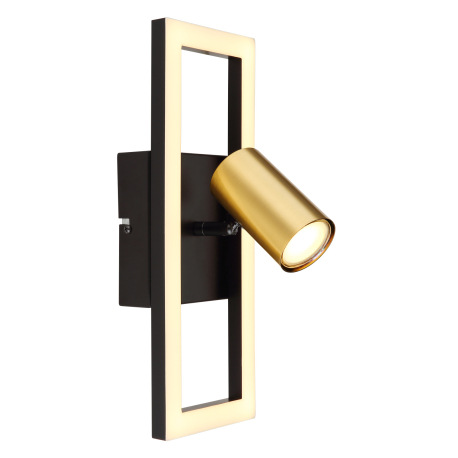 Nástenné svietidlo kov čierny matný, kov mosadz matná, plast biely, ŠxV: 130x350mm, H: 150mm, vrátan 10