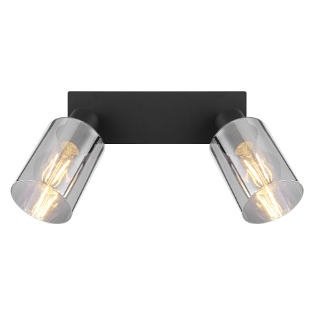 Nástenné svietidlo, kov čierny, dymové sklo, DxŠxV: 280x90x215mm, bez žiaroviek 2x E27, max. 15W 230 6