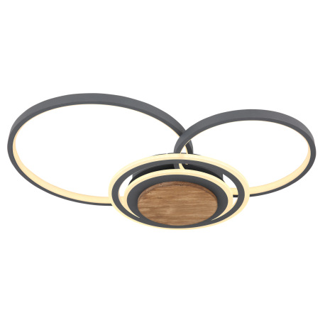 Stropné svietidlo, kov grafit, tmavohnedé drevo, akryl opál, DxŠxV:650x450x80, vrátane 1xLED 40W 230