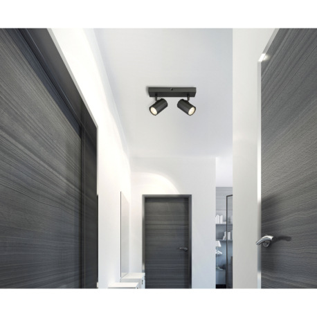 Nástenné svietidlo, kov sivý matný, hliník sivý matný, DxŠxV: 260x60x145mm, bez žiaroviek 2x GU10, m 9