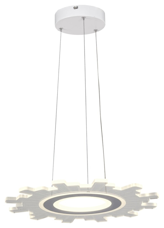Felicity 6