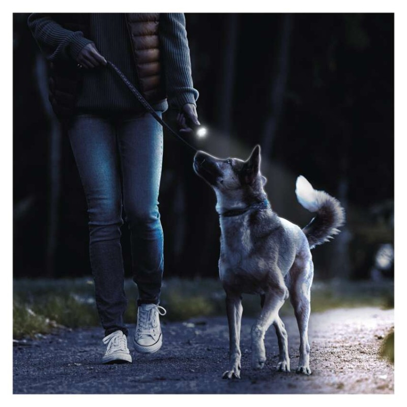 LED ručné svietidlo GP C105, 50 lm, 1× AA 1