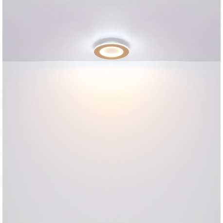 Stropné svietidlo kov biely, akryl imitácia dreva, akryl biely, DxŠxV: 300x300x50mm, vrátane LED 23, 6