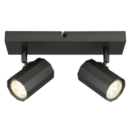 Nástenné svietidlo, kov sivý matný, hliník sivý matný, DxŠxV: 260x60x145mm, bez žiaroviek 2x GU10, m 11