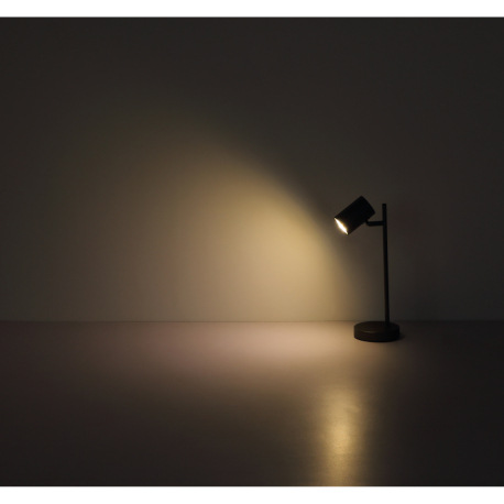 Nástenné svietidlo, kov sivý matný, hliník sivý matný, DxŠxV: 260x60x145mm, bez žiaroviek 2x GU10, m 13