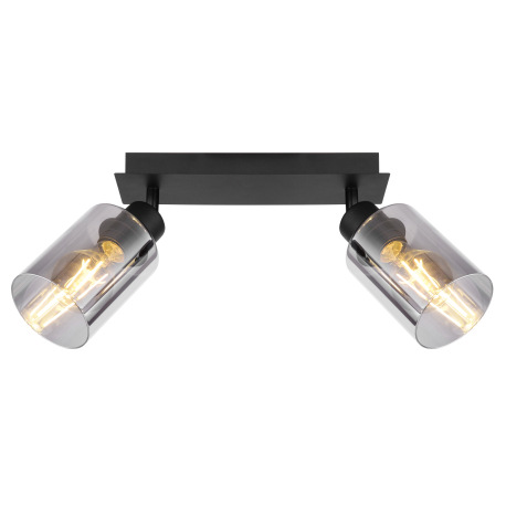 Nástenné svietidlo, kov čierny, dymové sklo, DxŠxV: 280x90x215mm, bez žiaroviek 2x E27, max. 15W 230 16