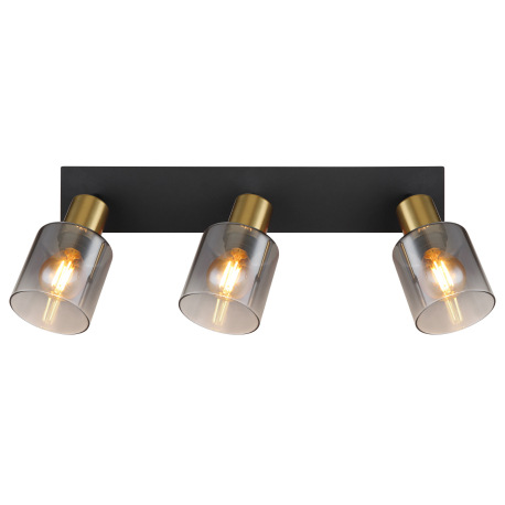 Stropné svietidlo, kov čierny matný, kov zlatý matný, sklo dymové, priehľadné, DxŠxV: 400x80x182mm, 12