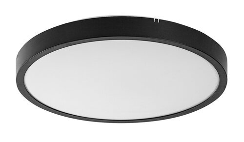 Alenzo 1