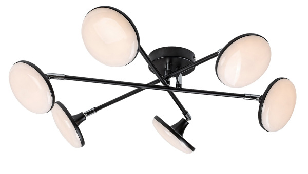 Madi 11