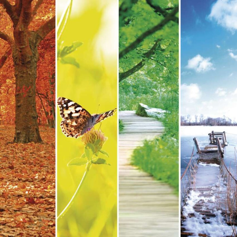 Digitálny bezdrôtový teplomer E0129 13