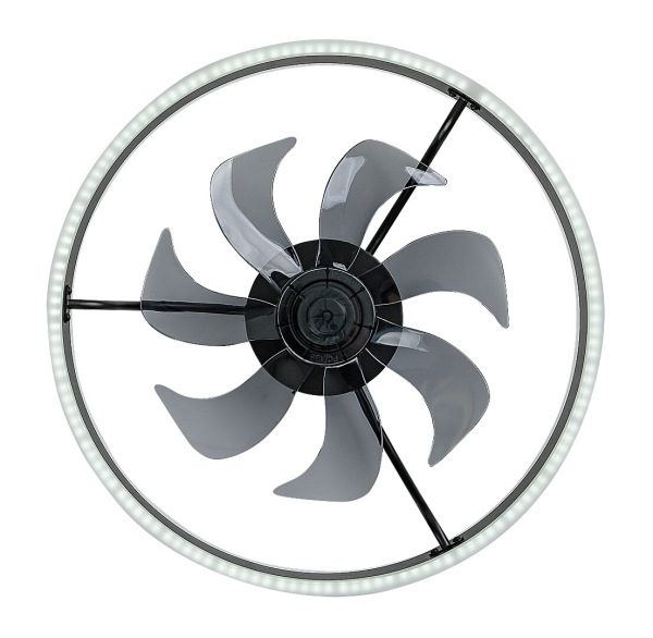 Fanfy 20