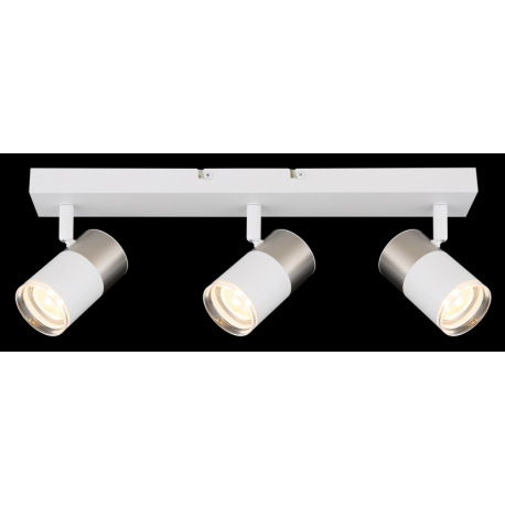 Stropné svietidlo, matný biely kov, hliník nikel, matný biely hliník, priehľadný plast, DxŠxV: 410x6 15