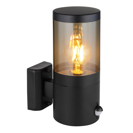 Vonkajšie svietidlo nerezová oceľ čierna matná, plast dymovej farby, smer svetla: nahor, vrátane sen 6