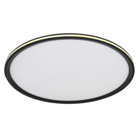 Stropné svietidlo, kov/hliník čierny matný, plast opál, niekoľko úrovní pomocou nástenného vypínača, 13