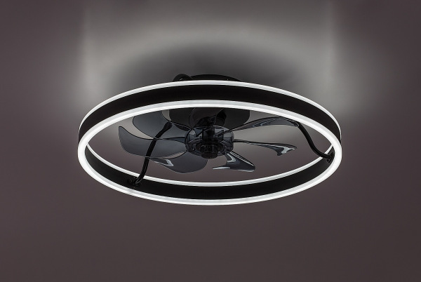 Fanfy 19