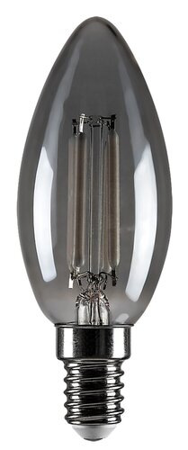 Filament-LED 1
