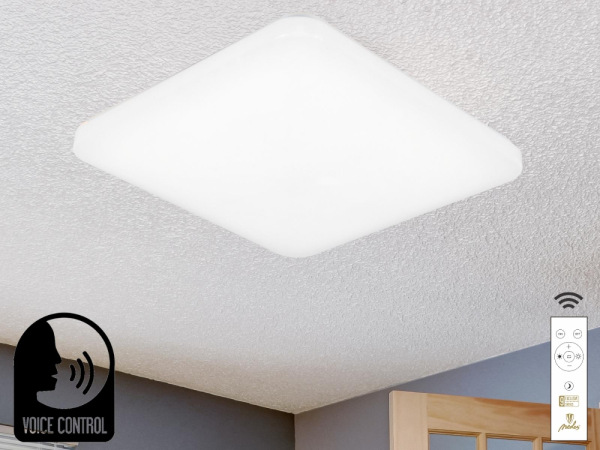 LED stropná lampa OPAL + DO + OVLÁDANIE HLASOM 48W - LC902S/SV