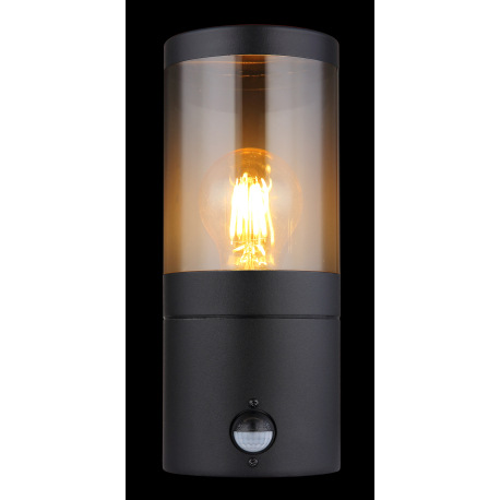 Vonkajšie svietidlo nerezová oceľ čierna matná, plast dymovej farby, smer svetla: nahor, vrátane sen 12