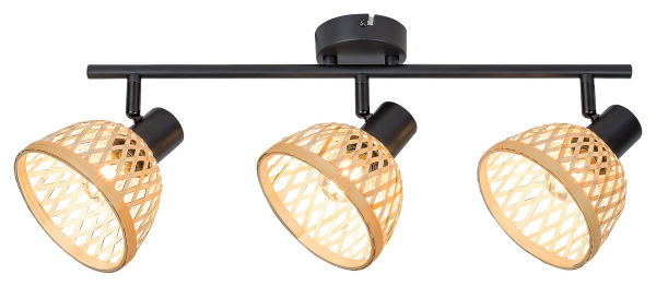 Rattan 5