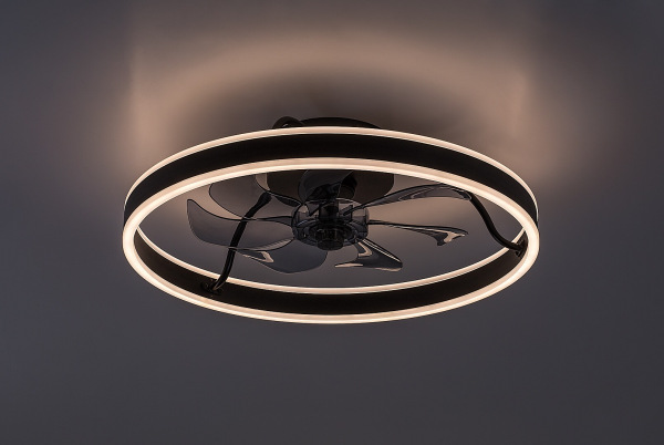Fanfy 18