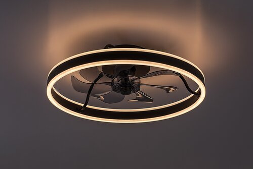 Fanfy 2