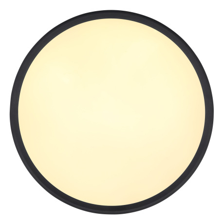 Stropné svietidlo, kov/hliník čierny matný, plast opál, niekoľko úrovní pomocou nástenného vypínača, 3