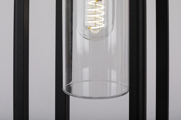 Zernest  11