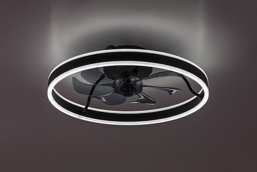 Fanfy 4