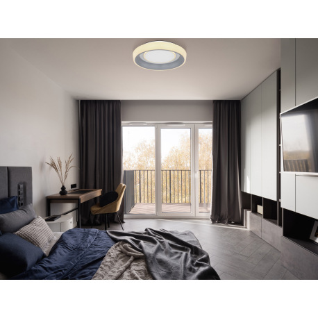 Stropné svietidlo, kov biely, akryl antracit a biely, nočné svetlo, funkcia pamäte, stmievateľné, di 1