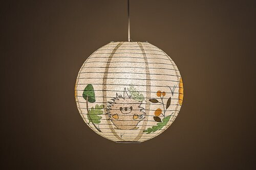 Hedgy 2