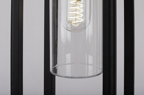 Zernest  4