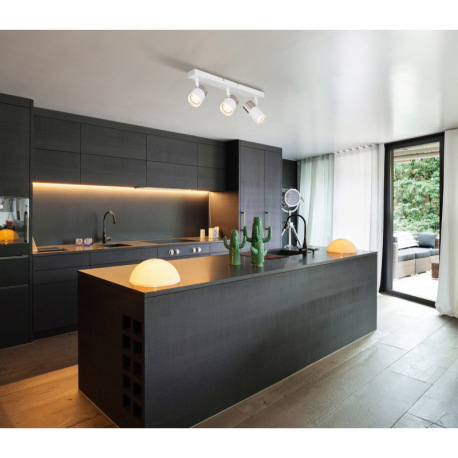 Stropné svietidlo, matný biely kov, hliník nikel, matný biely hliník, priehľadný plast, DxŠxV: 410x6 1