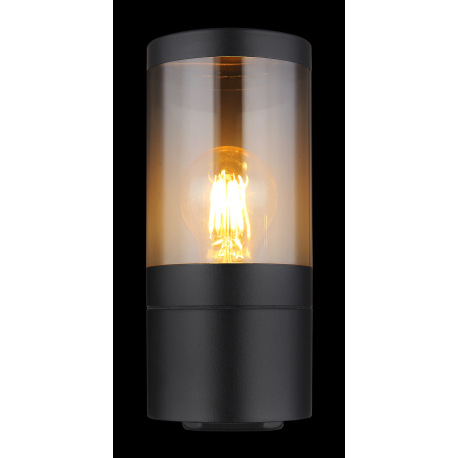 Vonkajšie svietidlo nerezová oceľ čierna matná, plast dymovej farby, smer svetla: nahor, IP44, ŠxV: 13