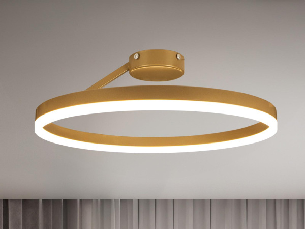 LED stropné svietidlo s diaľkovým ovládačom 40W - TA1313/G 11