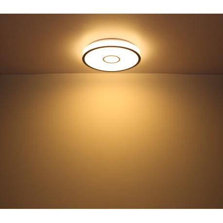 Stropné svietidlo,kov biely,plast opál/čierny,kompatibilné s Google Assistant a Alexa,časovač,pamäť, 11