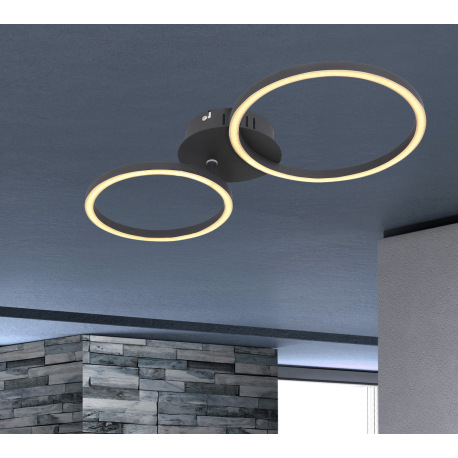 Stropné svietidlo, kov čierny matný, plast opál, priemer kruhu: 25cm a 20,5 cm, DxŠxV:490x245x70, vr 6