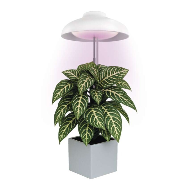 LED GROW pestovateľská lampa 5 W, časovač, biela 10